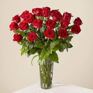 24 ROSES ROUGES